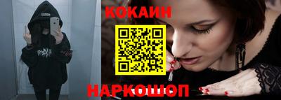 индика Кингисепп