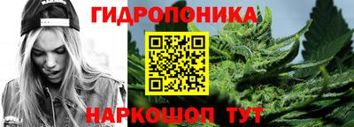 индика Кингисепп