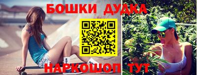 индика Кингисепп