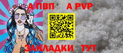 индика Кингисепп
