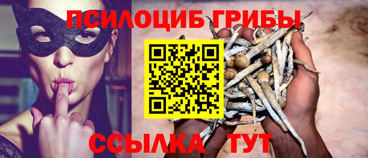 Псилоцибиновые грибы прущие грибы Юрга